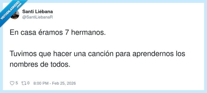 hermanos,familia,infancia,cancion,caos