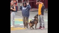 Enlace a Nunca se la puedes colar a un perro de la brigada anti-drogas