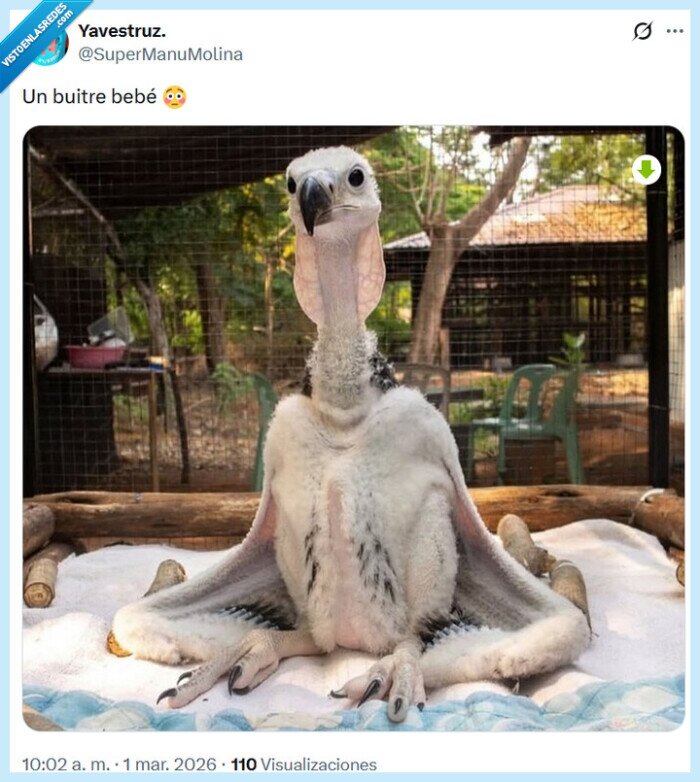 1717381 - Qué... cosa por @supermanumolina