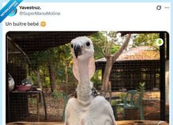 Enlace a Qué... cosa por @supermanumolina