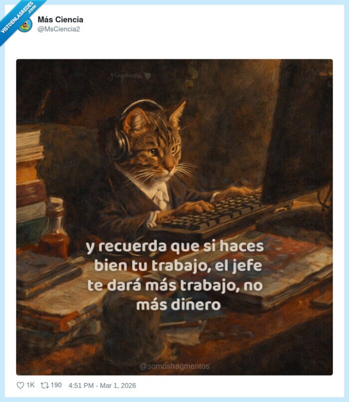 trabajo,jefe,oficina,productividad,gato