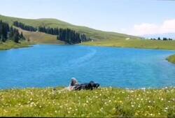 Enlace a ¿Te imaginas?, por @objetivo_mty