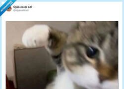 Enlace a Han pasado 7 minutos, ya estaba llamando a hospitales, por @ojoscol0rsol