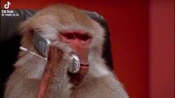 Enlace a Sí soy, por @empujate