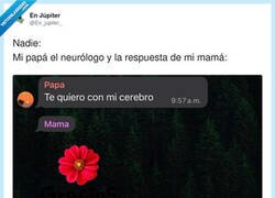 Enlace a Mi padre neurólogo: desmontando el romanticismo a base de datos, por @En_jupiter_