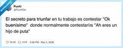 Enlace a Mi mayor habilidad profesional: traducir “me cago en tu puta vida” a “ok, genial, gracias”, por @PuchiDei