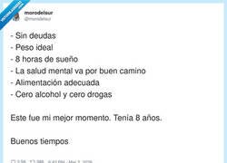 Enlace a Mi peak de adulto funcional fue en 3º de primaria, por @morodelsur