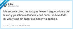 Enlace a Las tortugas con 1 segundo de vida ya tienen GPS y yo sigo en “calculando ruta” desde 1997, por @SoyDaniloDiaz