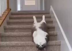 Enlace a Yo llegando al finde: sin dignidad, pero con intención, por @anonimo_jones