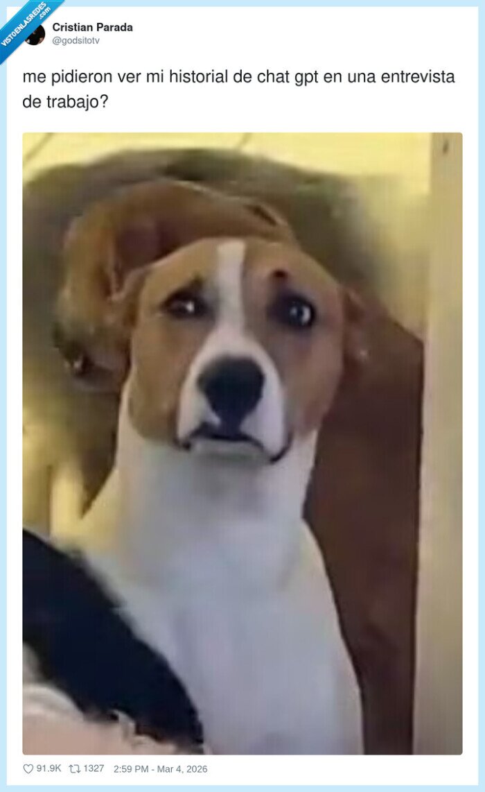 entrevista,chatgpt,perro,duda,trabajo