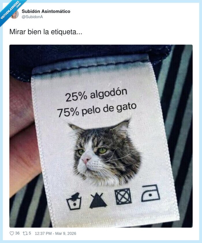 etiqueta,algod&oacute;n,gato,ropa,pelos