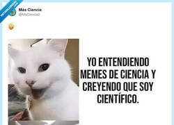 Enlace a Yo con memes de ciencia: ‘soy investigador’. Yo con un paper: ‘¿esto trae subtítulos?’, por @MsCiencia2
