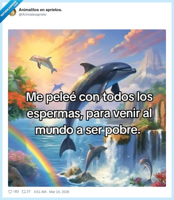 pobreza,vida,suerte,nacimiento,frustraci&oacute;n