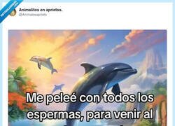 Enlace a Tanto esfuerzo para desbloquear el modo difícil, por @Animalesaprieto