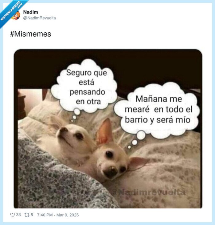 perros,pareja,celos,territorio,mascotas