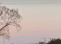 Enlace a Qué pena, ya lo tenía, por @anonimo_jones