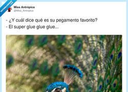 Enlace a Perdón, es que me vengo arriba y se me abre el abanico, por @Miss_Antropica