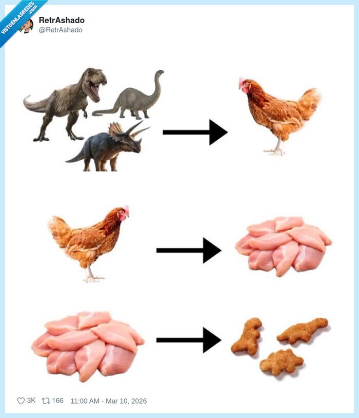 evoluci&oacute;n,pollo,nuggets,dinosaurios,comida