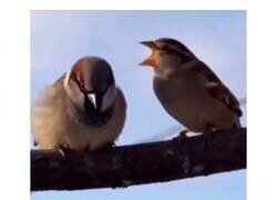 Enlace a Yo: “he llegado tarde por el tráfico” — el aliento: “HOLAAAAAA”, por @jcarlos2001