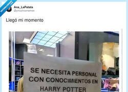 Enlace a Por fin una oferta donde “expelliarmus” cuenta como experiencia laboral, por @ymuchosmemes