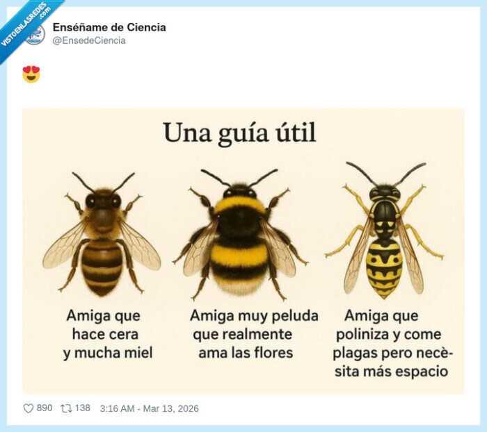 1719766 - La guía definitiva para identificar a tu amiga según el nivel de drama y espacio personal que necesita, por @EnsedeCiencia