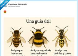 Enlace a La guía definitiva para identificar a tu amiga según el nivel de drama y espacio personal que necesita, por @EnsedeCiencia