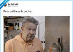 Enlace a Pesa la ardilla, que hoy cenamos con IVA, por @BarDePueblo1