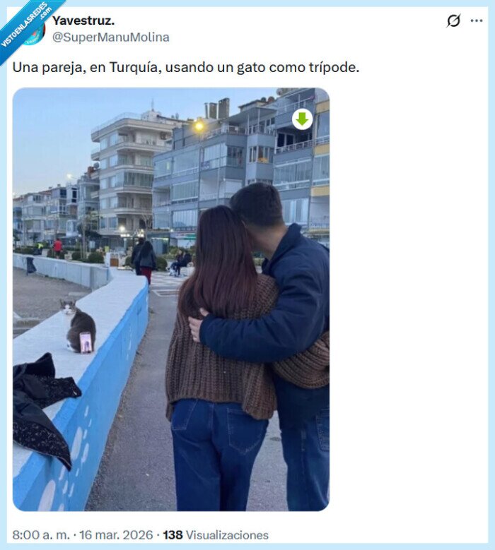 tr&iacute;pode,gato,pareja,foto
