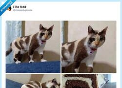 Enlace a Mi gato por fuera: normal. Mi gato por dentro: bizcocho marmolado, por @messedupfoods