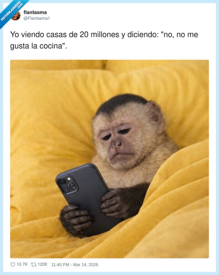 1720067 - Poniéndome exquisito con el dinero que no tengo, por @Flantasma1