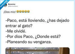 Enlace a Os vais a cagar, por @BerniceSanz