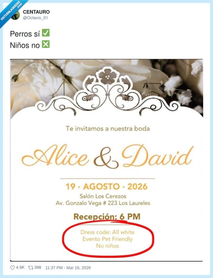 1720322 - Mis sobrinos no caben en el dress code, pero mi perro va de invitado VIP, por @Octavio_01