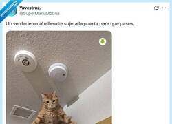 Enlace a Que no te haga el salto del tigre por @supermanumolina