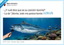 Enlace a Bonitoooooo es, por @Miss_Antropica