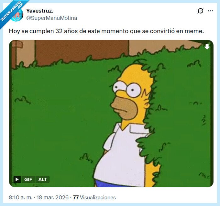 seto,homer,meme,a&ntilde;os