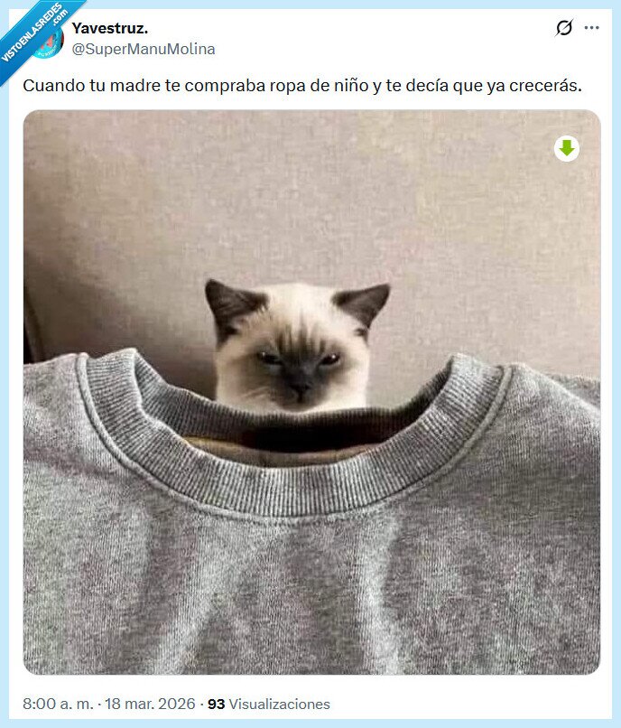 ropa,madre,comprar,crecer