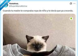 Enlace a Que dure por @supermanumolina