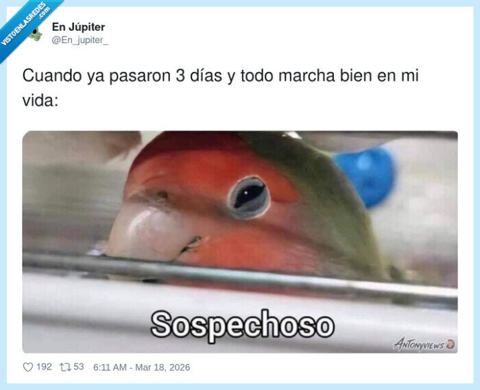 sospechoso,vida,racha,malaSuerte,desconfianza