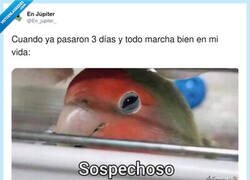 Enlace a Algo va a pasar, por @En_jupiter_