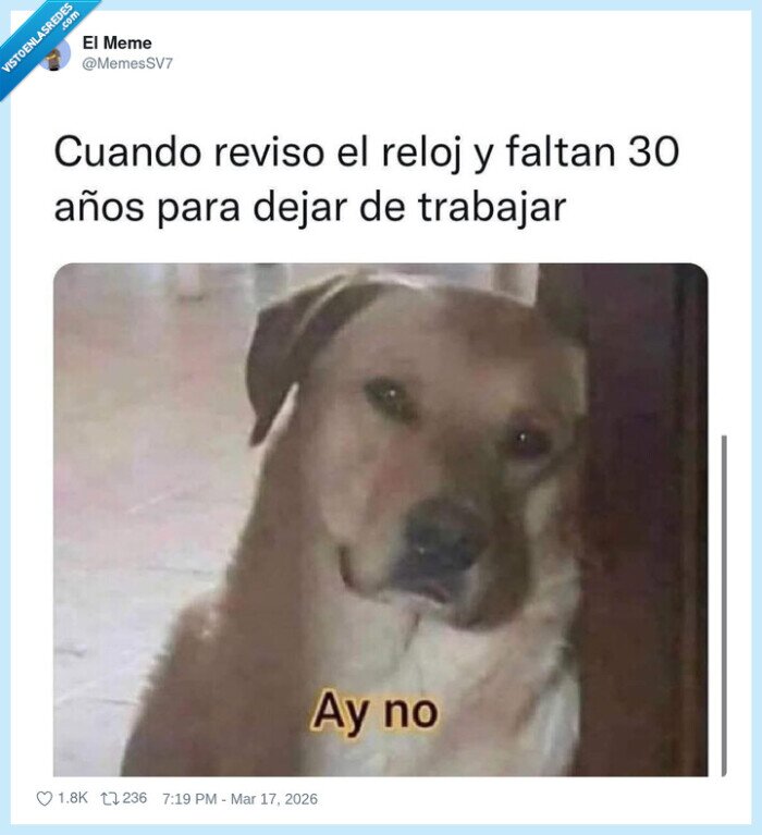 trabajo,jubilacion,reloj,perro,rutina