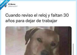 Enlace a Miro el reloj y pone: faltan 30 años para el viernes, por @MemesSV7