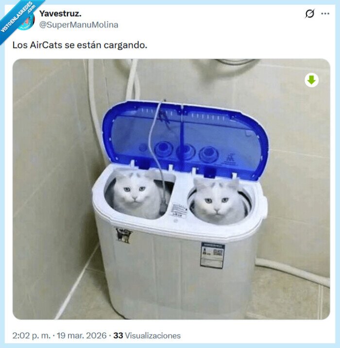 aircats,airpods,gato,cargar