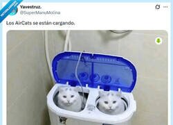 Enlace a Por la noche están a tope por @supermanumolina