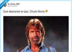 Enlace a Chuck Norris ya había vencido a todo en la Tierra, así que simplemente eligió morir para poder vencer también a todo en el más allá
