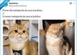 Enlace a Cuesta abajo por @supermanumolina