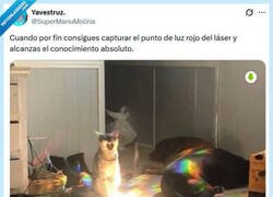 Enlace a ¡Al fin! por @supermanumolina