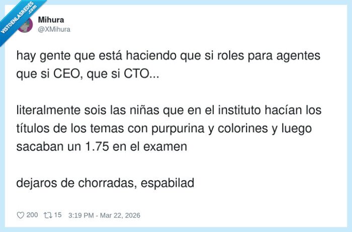 trabajo,startup,roles,postureo,instituto