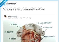Enlace a El cuello en modo airbag: por seguridad, no por estética, por @CompostelaFC