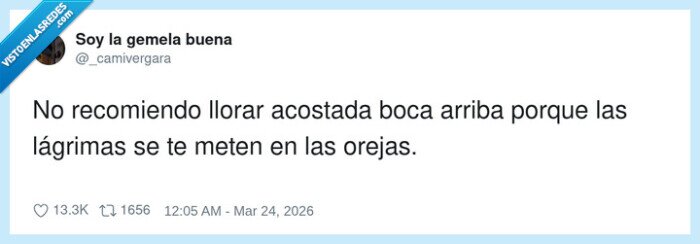 llorar,orejas,consejo,gemelas
