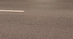 Enlace a 7 perros robados se vuelven virales tras escapar y regresar solos a casa recorriendo 17 km guiados por un corgi. Presuntamente iban a ser vendidos en el mercado negro